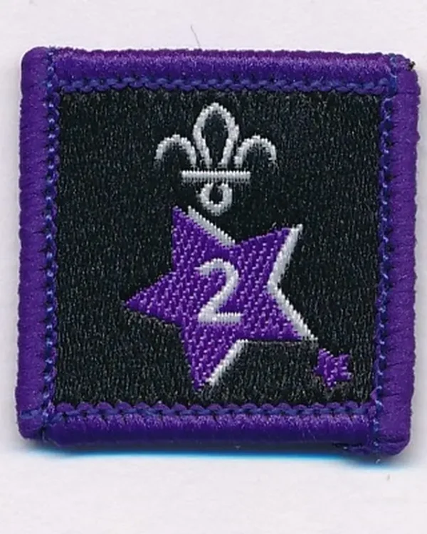 Joining in Award Badge 2