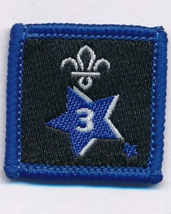 Joining in Award Badge 3
