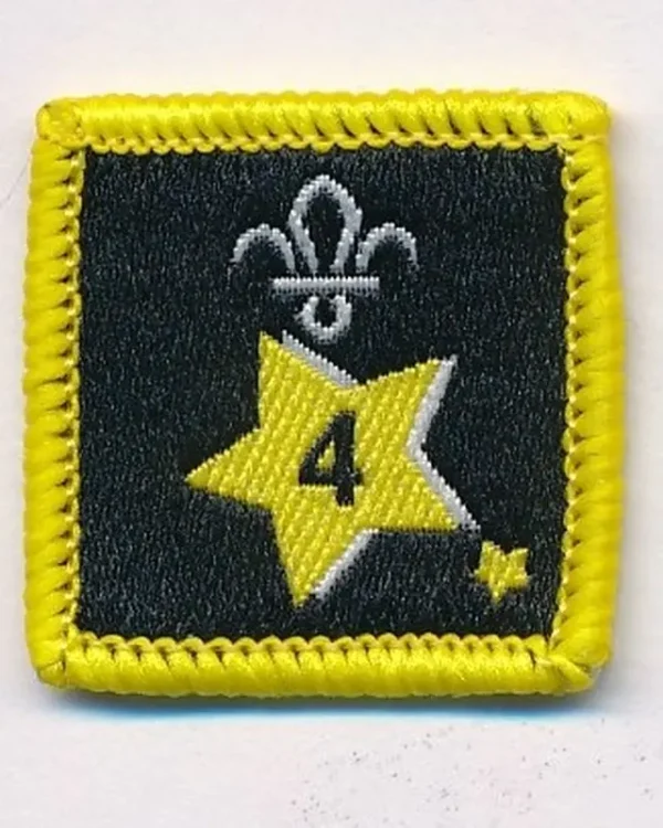 Joining in Award Badge 4