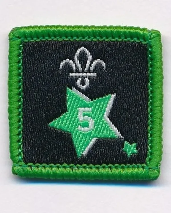 Joining in Award Badge 5