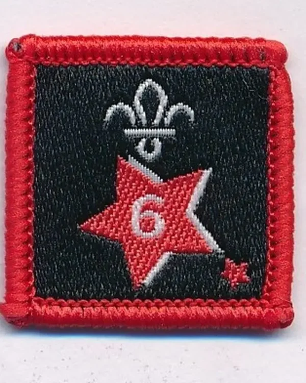 Joining in Award Badge 6