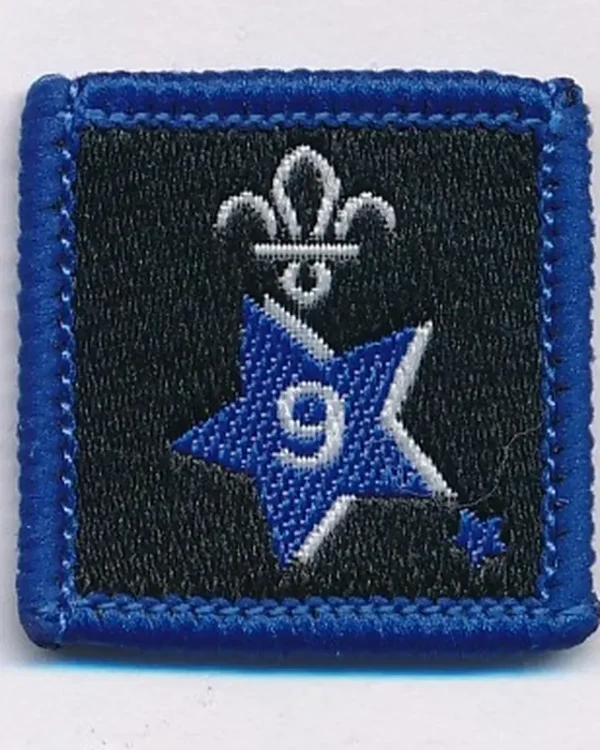 Joining in Award Badge 9