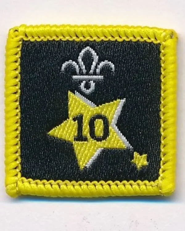 Joining in Award Badge 10